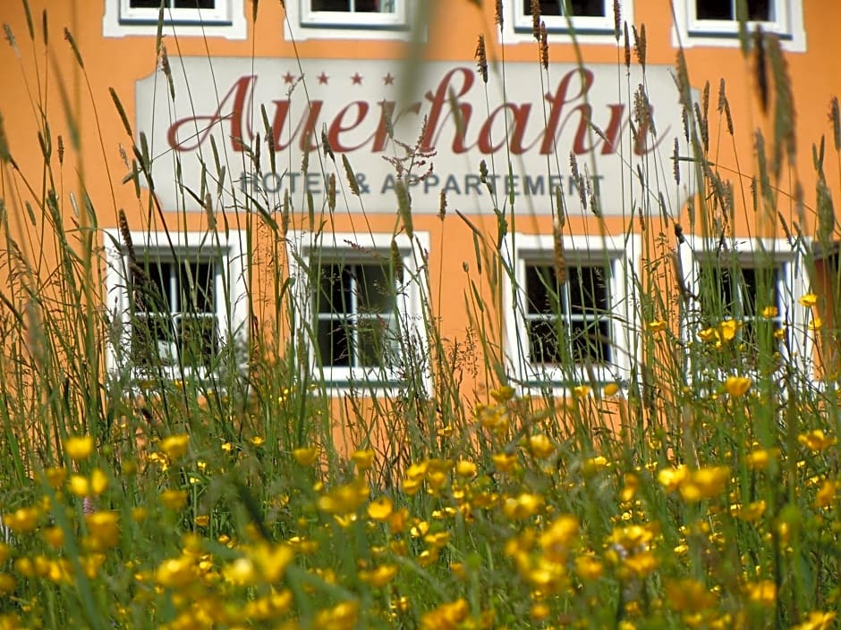 Hotel & Appartement Auerhahn