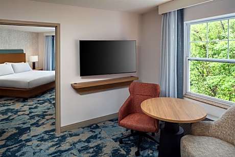 One-Bedroom King Suite with Sofa Bed - Non-Smoking
