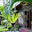 The Buah Bali Villas