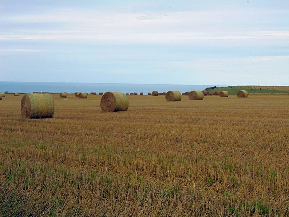 Le Grenier D'Isafil