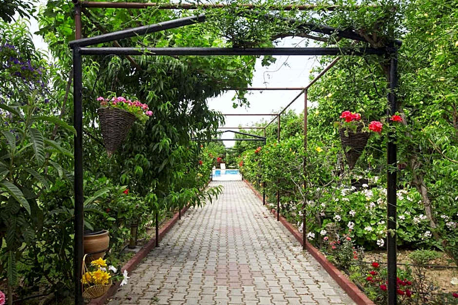 Lapida Garden
