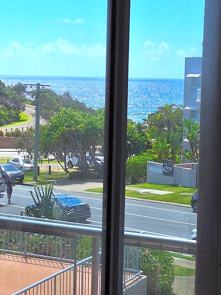 Pandanus Coolum Beach