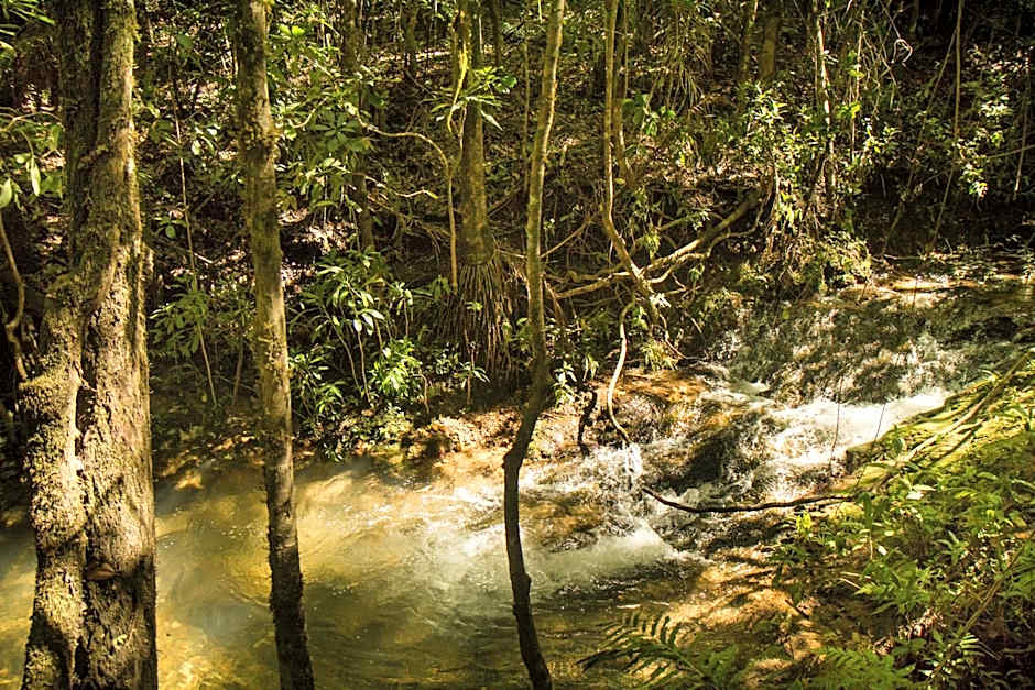 Pousada Raizando Ecologia Humana
