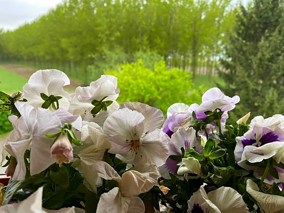 B&B Happiness in the Country