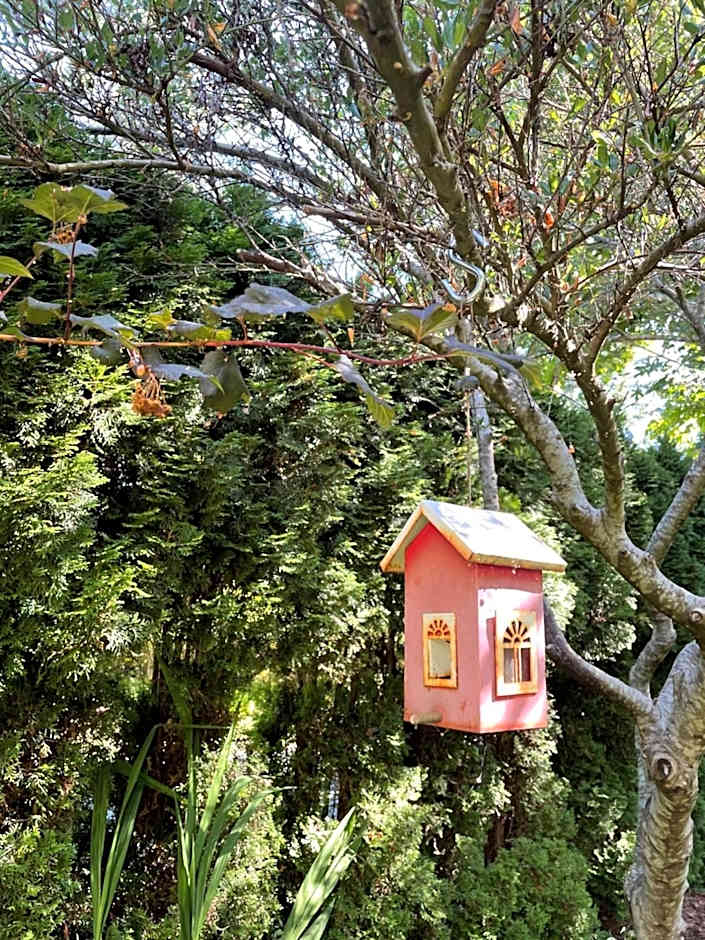 Kye Bay BnB - A Place to Breathe