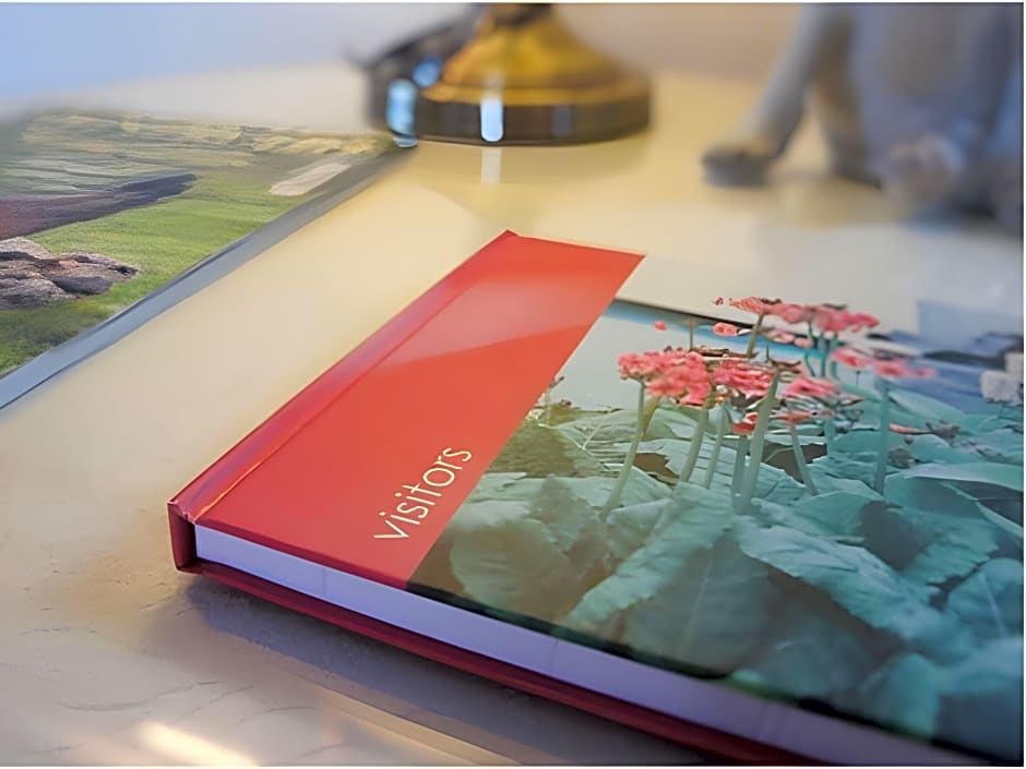 Bryn Goleu Bed and Breakfast