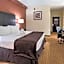 Best Western Mulberry Hotel