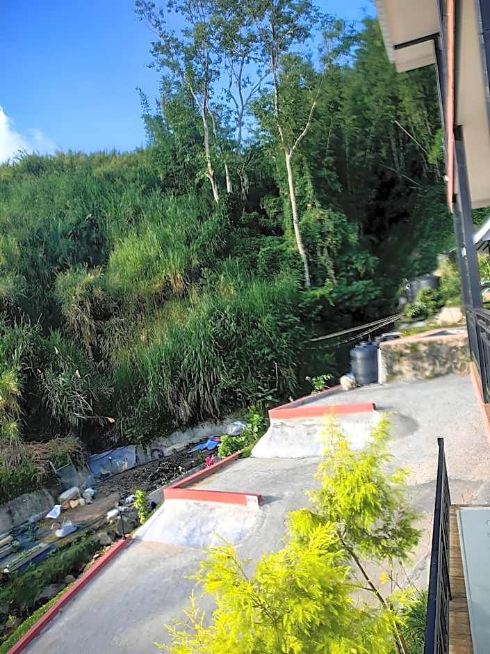 KUNDASANG MOUNT GARDEN