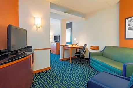 Studio, 1 King, Sofa bed