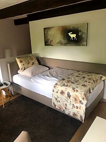 Superior Single Room