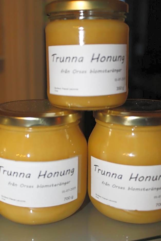 Trunna Vandrarhem & Konferens