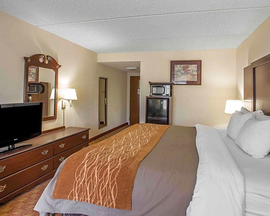 Comfort Inn & Suites at I-85