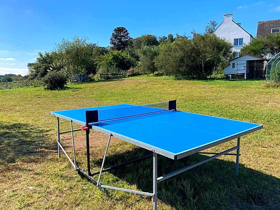 Le gîte de l'Araucaria