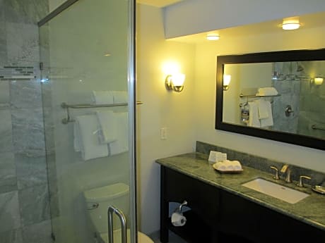 accessible - 1 king - mobility accessible, communication assistance, roll in shower, view, non-smoking