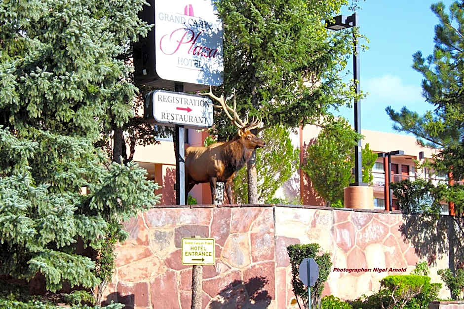 Grand Canyon Plaza Hotel