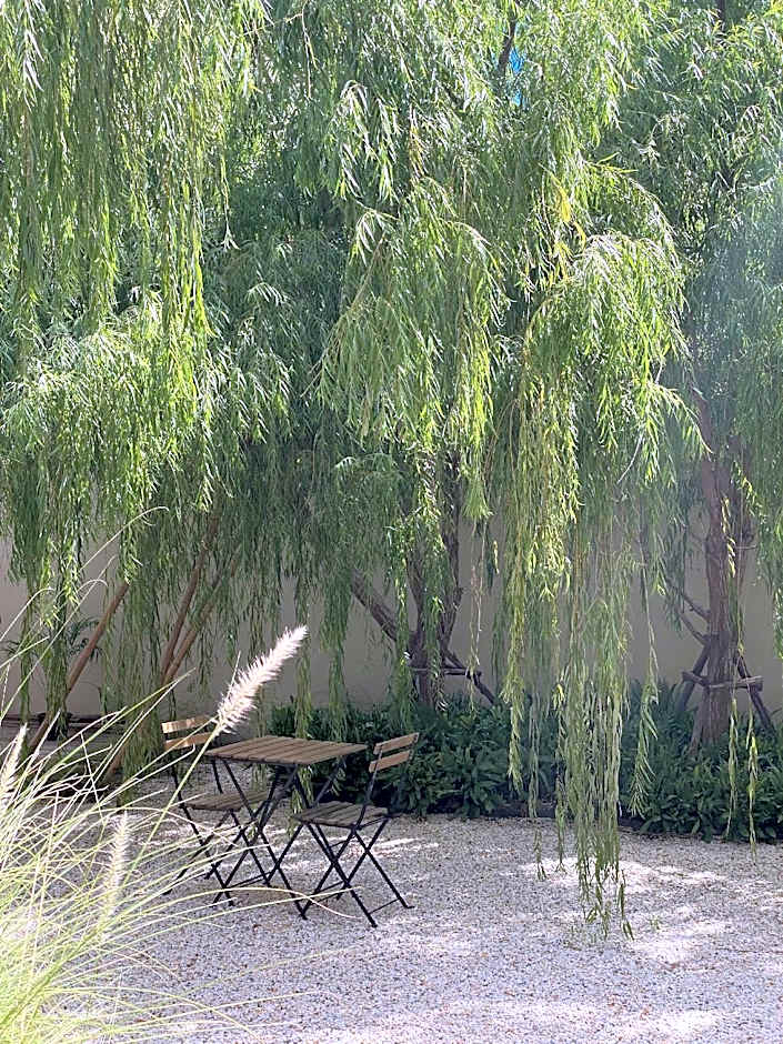 Suncloud Koh Samet