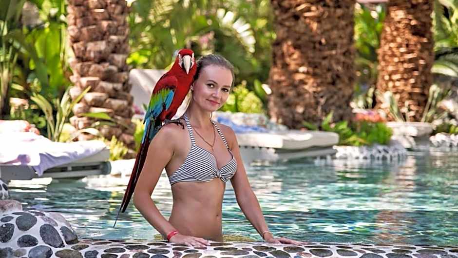 Flamingo Hotel & Spa - Pet Friendly