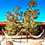 Pioneertown Motel