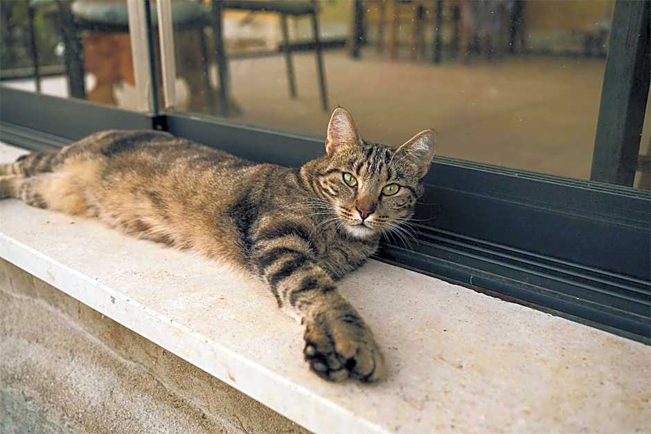 La Dama Country Rooms