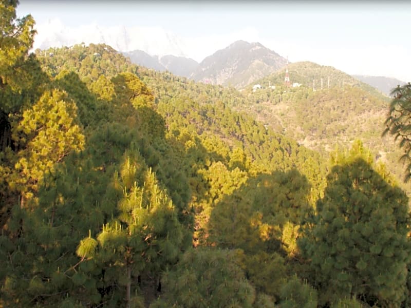 Fortune Park Moksha, Mcleodganj  - Member ITC Hotels' Group