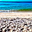 Secret Beach Bungalows