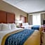 Comfort Inn Indianapolis North - Carmel