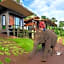 Chiang Mai Elephant Friends