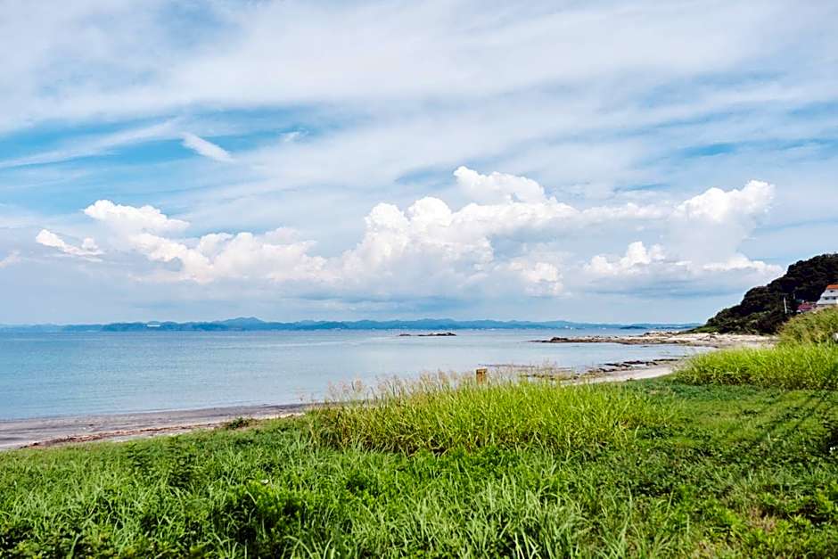 Little Seagull by SANA