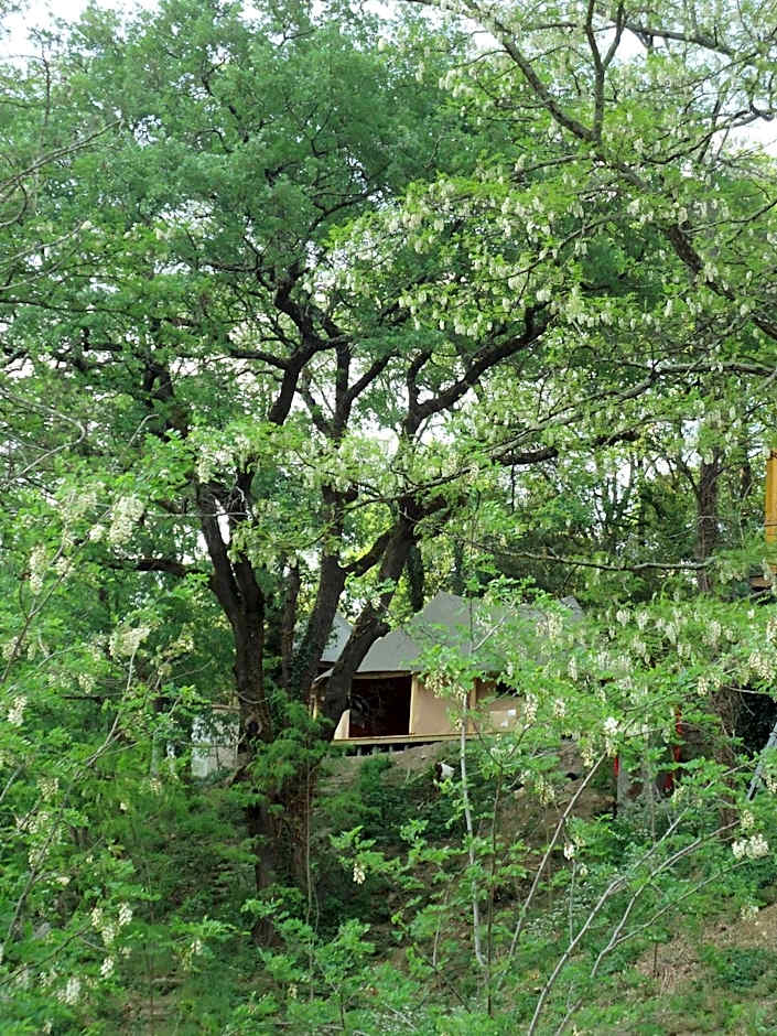 Prehistoric Lodge - Adult Only