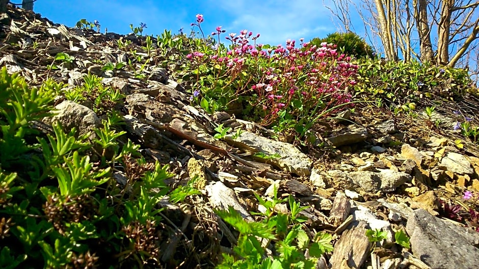 Ötscherblick Fam Winter