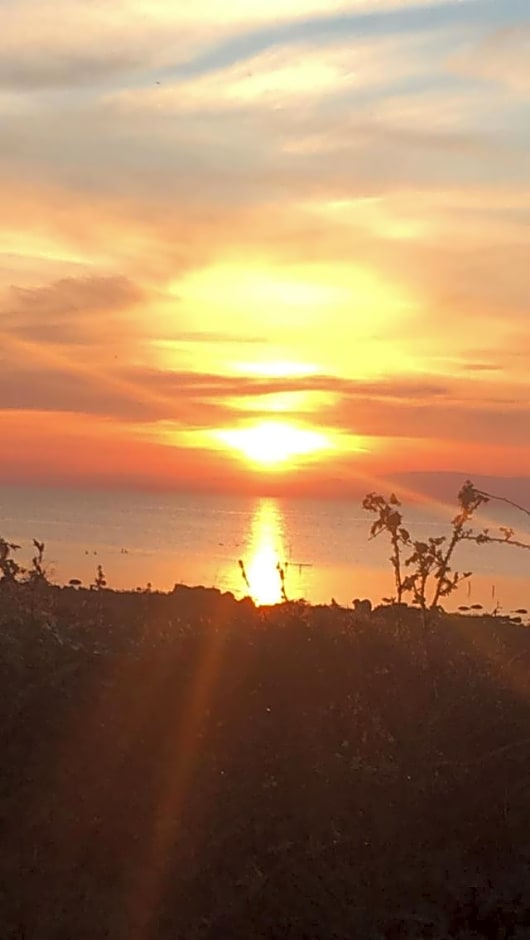 Ballyginniff Farm House