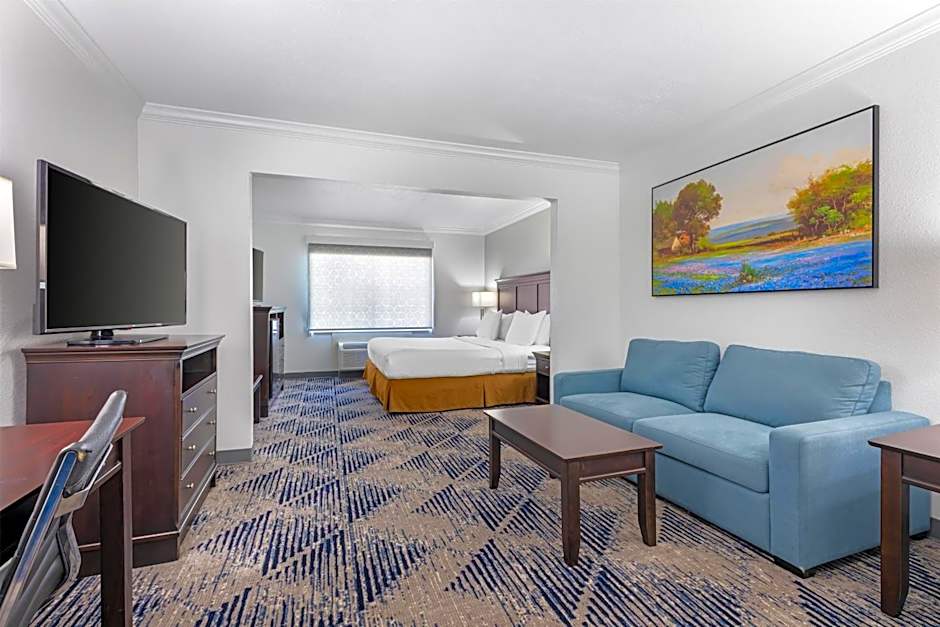 Best Western Plus Southpark Inn & Suites