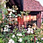 B&B Stefans Pottery