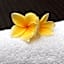 Echoland Boutique Bed And Breakfast