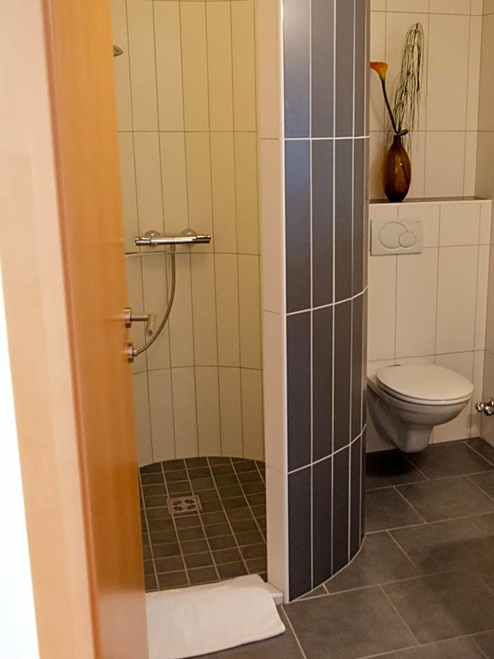 Mitten in der Welt - GH Roither