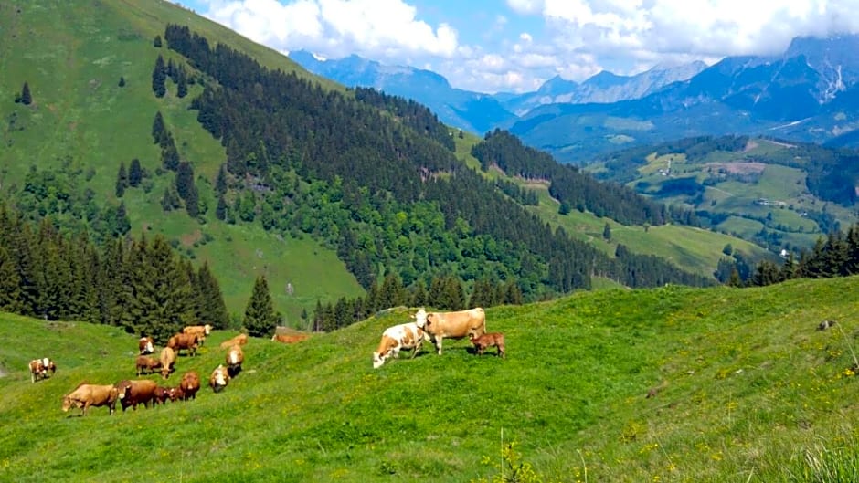 Biobauernhof Jagglhof