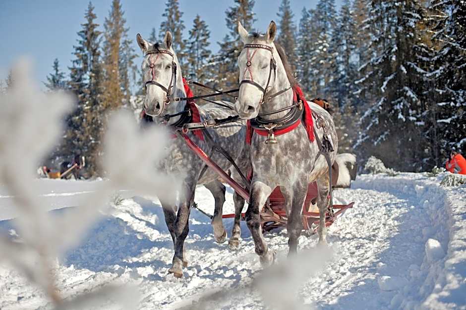 Hotel ZAWRAT Ski Resort & Spa