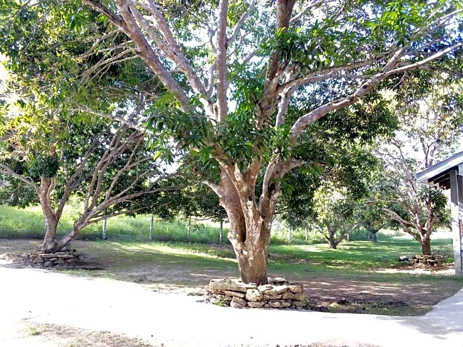 Balai Mariacaria Pension House