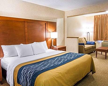 1 King Bed, Suite, Nonsmoking