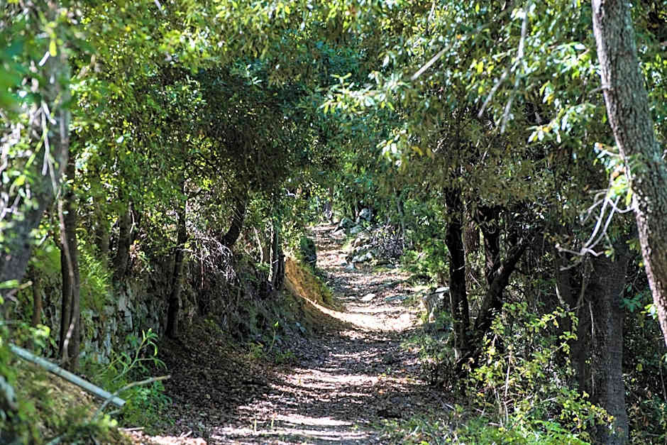 Chambre d'Hôtes La Marlotte