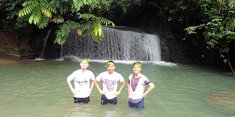 Green Forest Tangkahan