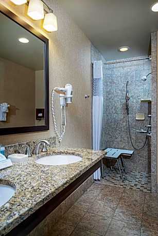 1 King Mobility Hearing Accessible 3X3 Shower Non-Smoking