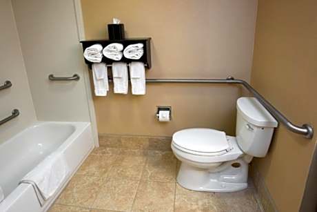 1 King Bed, Nonsmoking, Accessible