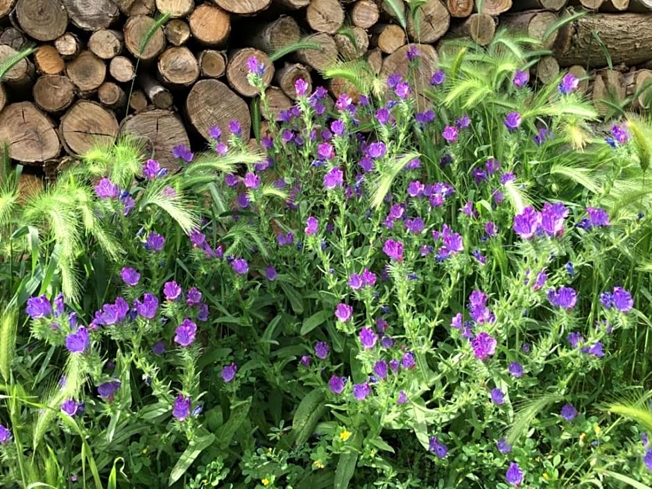 Tenuta Nonno Carmine