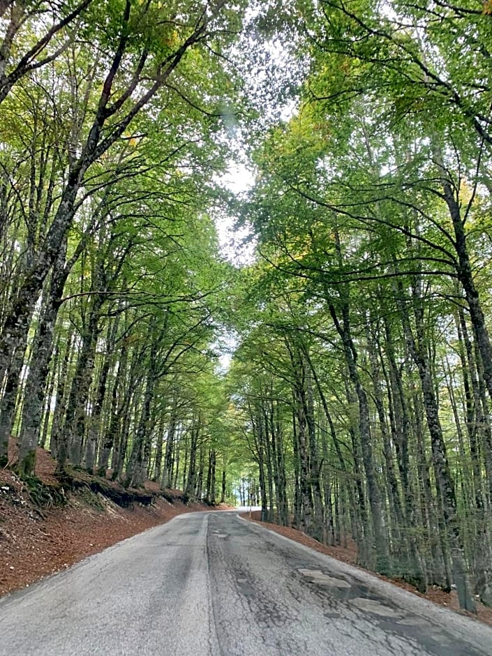 Il Duca Degli Abruzzi