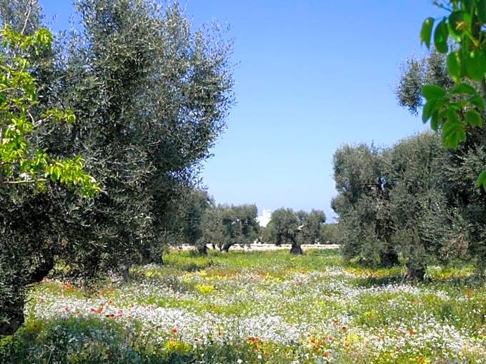 Boutique Hotel Masseria Sottomasi
