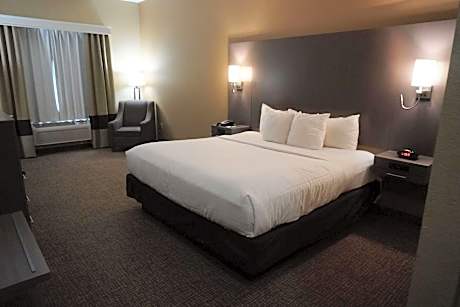 One Room Suite with Sofa bed - Non Smoking
