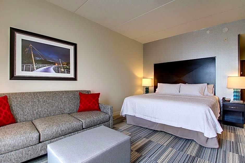Photo 1 of 5 of 1 King Bed with Sofabed