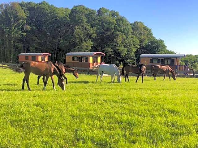 Le Hameau des Grilles