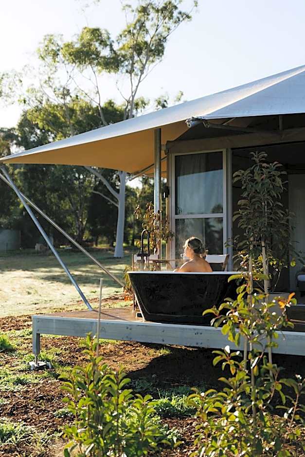 CANVS by CABN Seppeltsfield Barossa